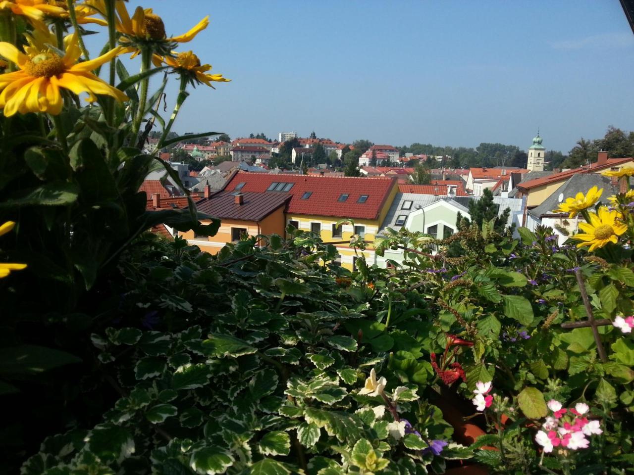 Antik Hotel Sofia Litomyšl 외부 사진