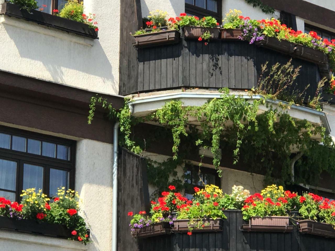 Antik Hotel Sofia Litomyšl 외부 사진